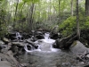 Mt Leconte 2014_07_31_2014_3688
