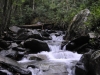 Mt Leconte 2014_07_31_2014_3689
