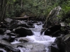 Mt Leconte 2014_07_31_2014_3690