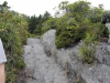 Mt Leconte 2014_07_31_2014_3696