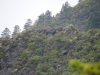 Mt Leconte 2014_07_31_2014_3700