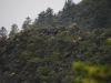 Mt Leconte 2014_07_31_2014_3702
