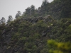 Mt Leconte 2014_07_31_2014_3703