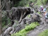 Mt Leconte 2014_07_31_2014_3725