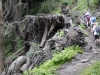 Mt Leconte 2014_07_31_2014_3726
