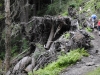 Mt Leconte 2014_07_31_2014_3728