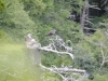 Mt Leconte 2014_07_31_2014_3735
