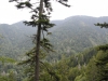 Mt Leconte 2014_07_31_2014_3750