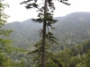 Mt Leconte 2014_07_31_2014_3751