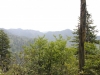 Mt Leconte 2014_07_31_2014_3753