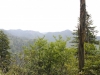 Mt Leconte 2014_07_31_2014_3754