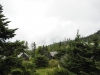 Mt Leconte 2014_07_31_2014_3782
