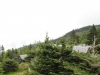 Mt Leconte 2014_07_31_2014_3784