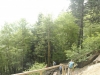 Mt Leconte 2014_07_31_2014_3854