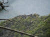 Mt Leconte 2014_07_31_2014_3857