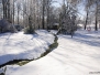 Snow January 2013