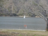 jim-and-sandys_01_13_13-27920