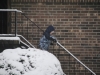 1stsnow2013_01_17_13-27953