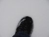 1stsnow2013_01_17_13-27967