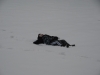 1stsnow2013_01_17_13-27974