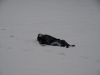 1stsnow2013_01_17_13-27975