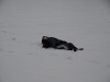 1stsnow2013_01_17_13-27976