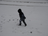 1stsnow2013_01_17_13-27979