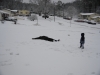 1stsnow2013_01_17_13-27984