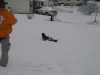 1stsnow2013_01_17_13-27988