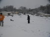1stsnow2013_01_17_13-27989