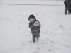 1stsnow2013_01_17_13-27990