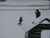 1stsnow2013_01_17_13-28009