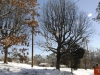 snow2014_01-29-14_9729