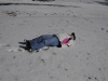 snow2014_01-29-14_9737