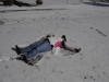snow2014_01-29-14_9740
