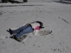 snow2014_01-29-14_9742