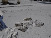 snow2014_01-29-14_9747