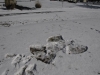 snow2014_01-29-14_9749