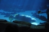 Atlanta Todd _06_28_2014_2976