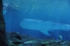Atlanta Todd _06_28_2014_2981