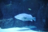 Atlanta Todd _06_28_2014_3002