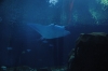 Atlanta Todd _06_28_2014_3004