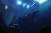 Atlanta Todd _06_28_2014_3011