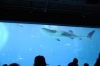 Atlanta Todd _06_28_2014_3016