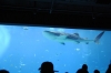 Atlanta Todd _06_28_2014_3017