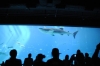 Atlanta Todd _06_28_2014_3020
