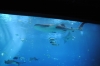 Atlanta Todd _06_28_2014_3021