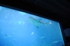 Atlanta Todd _06_28_2014_3025