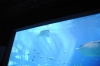 Atlanta Todd _06_28_2014_3043