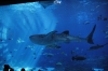 Atlanta Todd _06_28_2014_3045